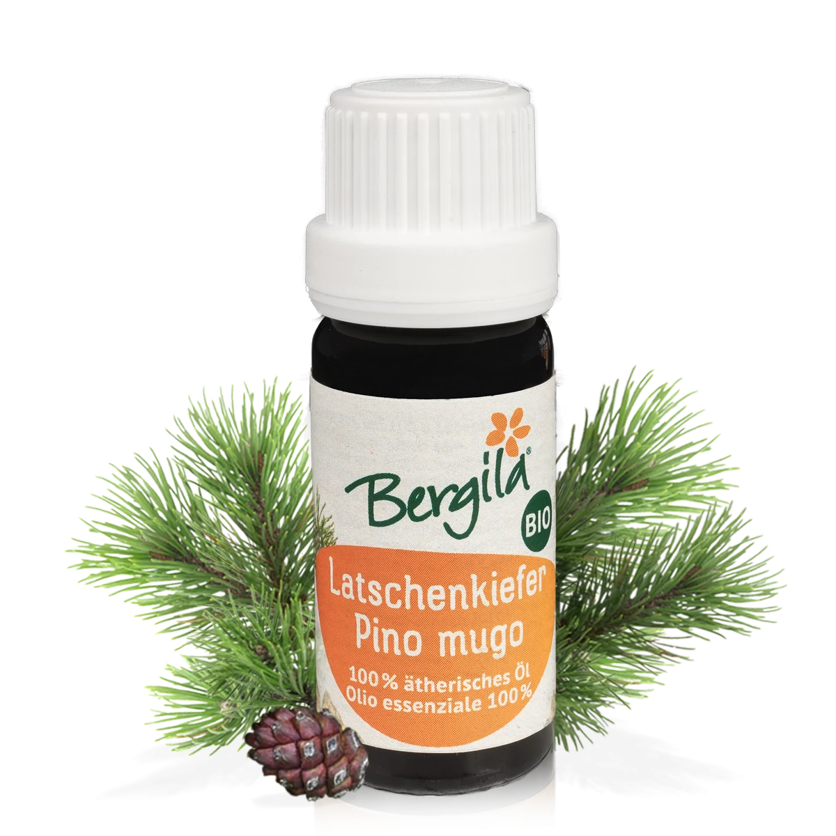Bergila Latschenkiefer (pinus mugo) - ätherisches Öl 10 ml bio