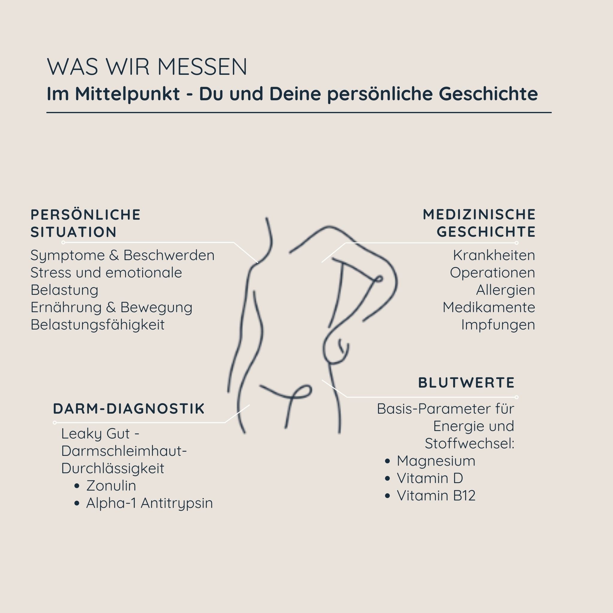 Dein Vitalstoff- & Ernährungsplan | Basis Energie Mann