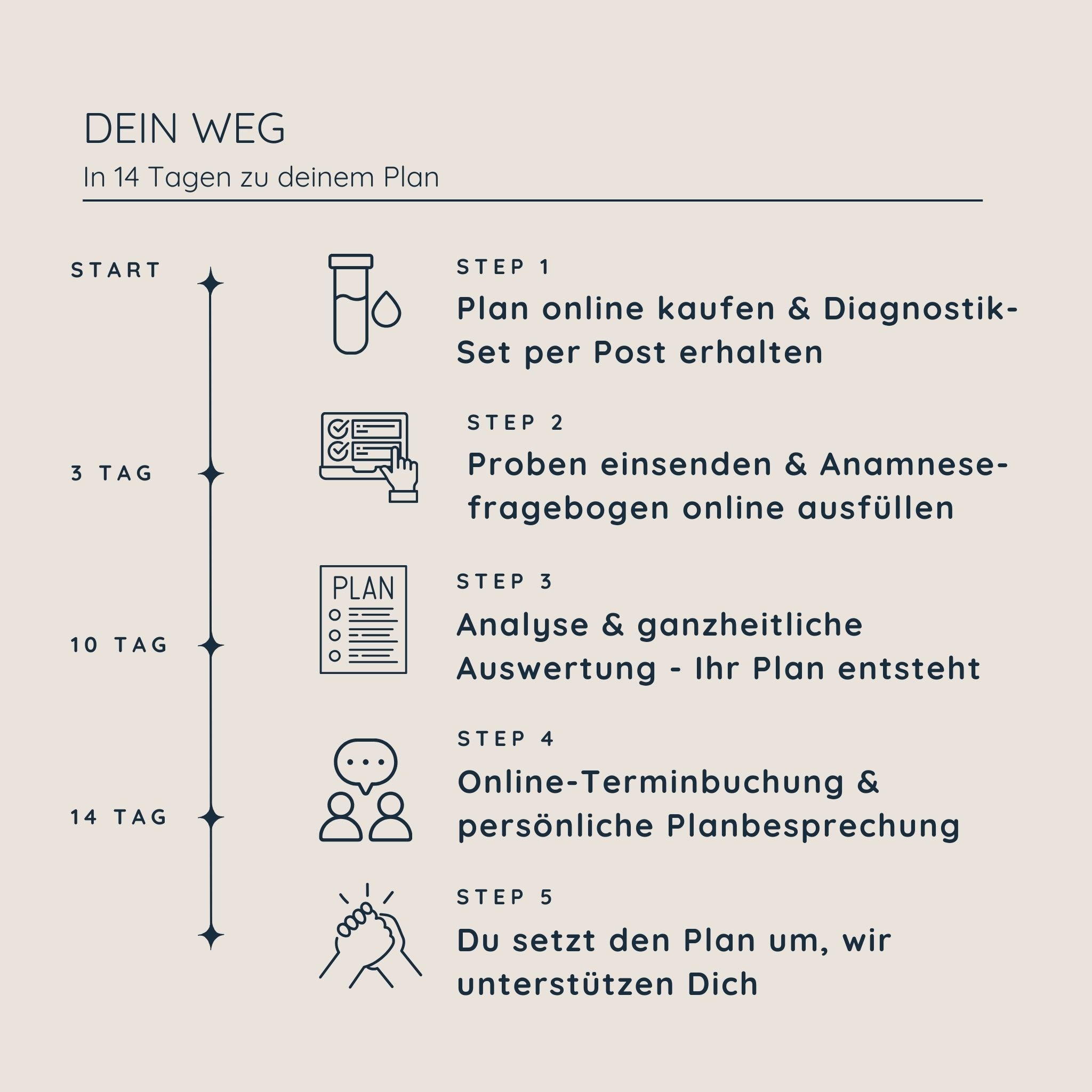 Dein Vitalstoff- & Ernährungsplan | Basis Energie Mann