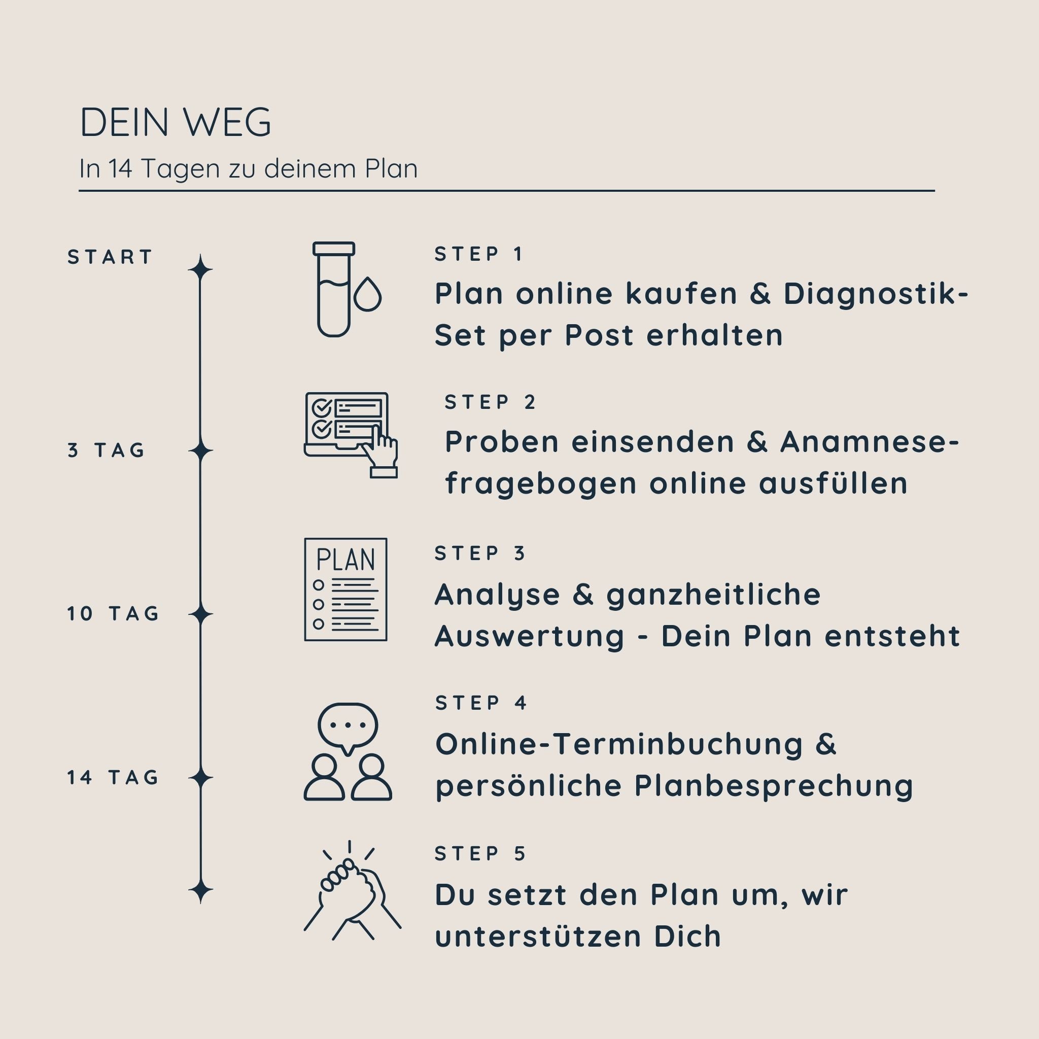 Dein Vitalstoff- & Ernährungsplan | Basis Energie Frau