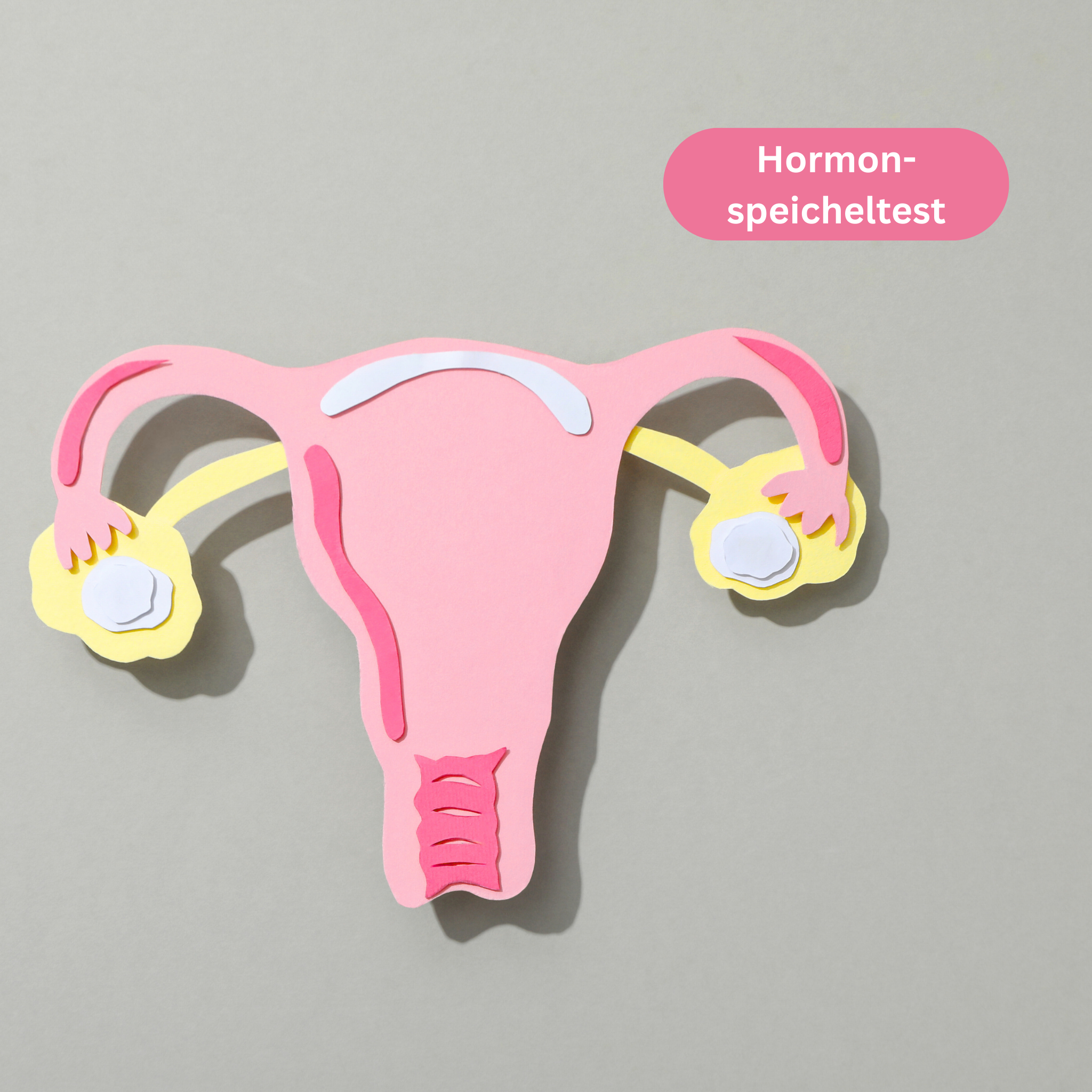 Hormonspeicheltest 5 Werte