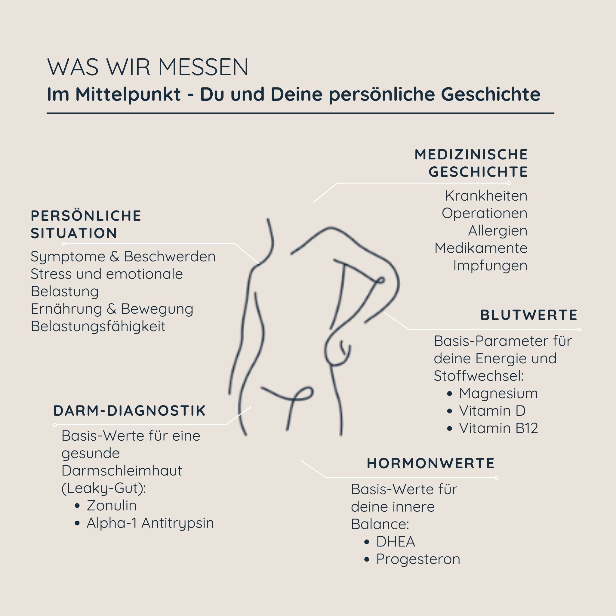 Dein Vitalstoff- & Ernährungsplan | Basis Energie Frau