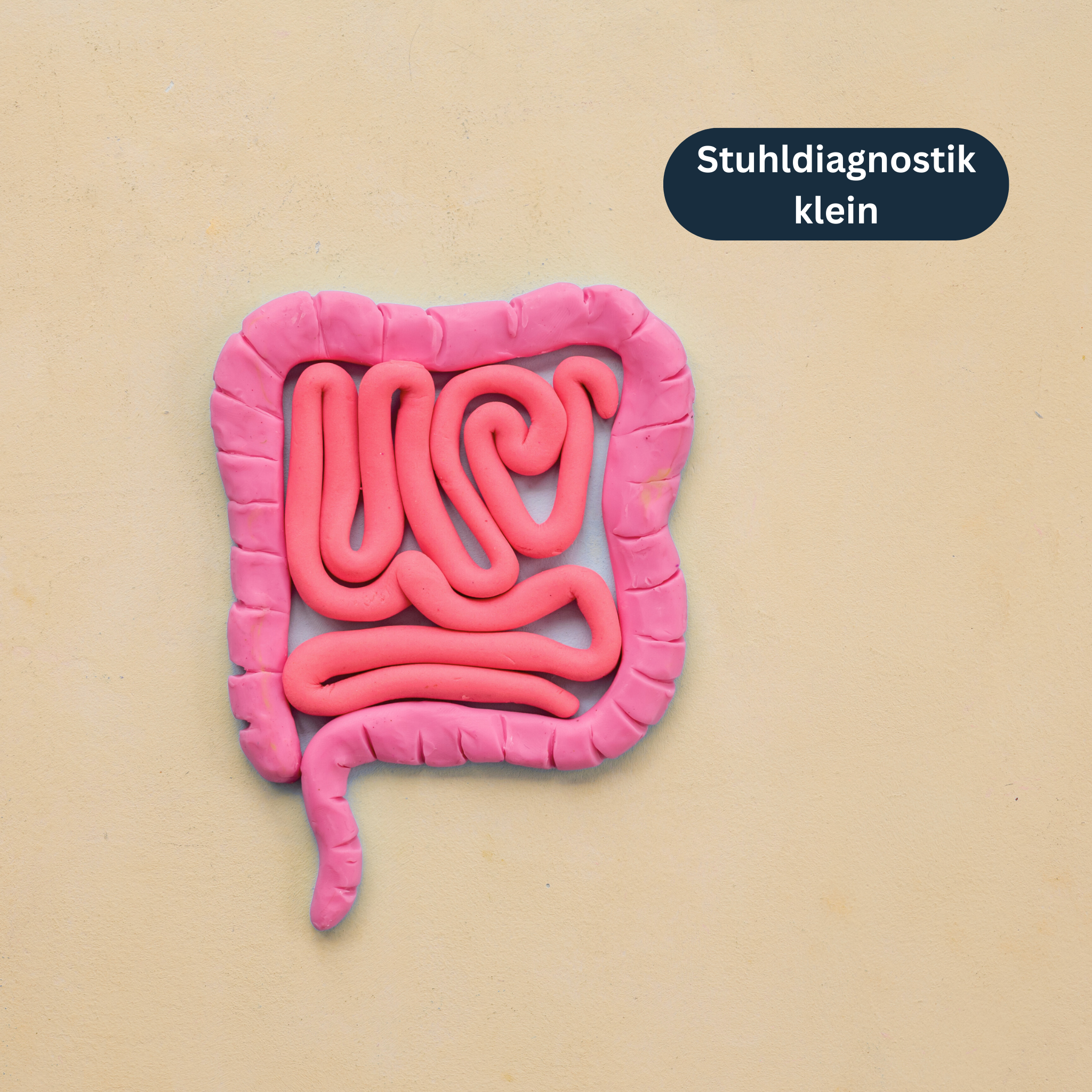 Stuhldiagnostik klein - 6 Werte