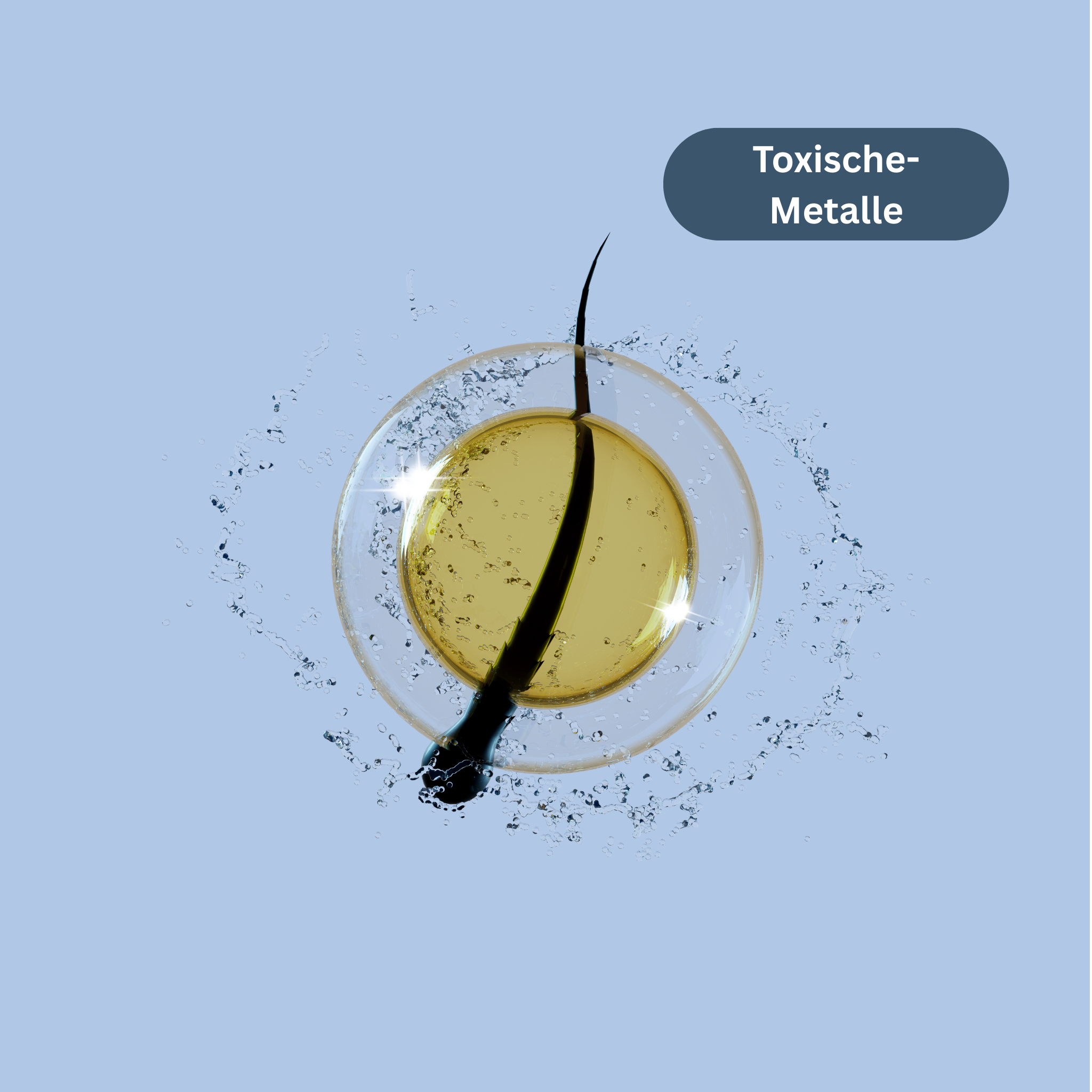 Haarmineralanalyse - toxische Metalle 20 Werte