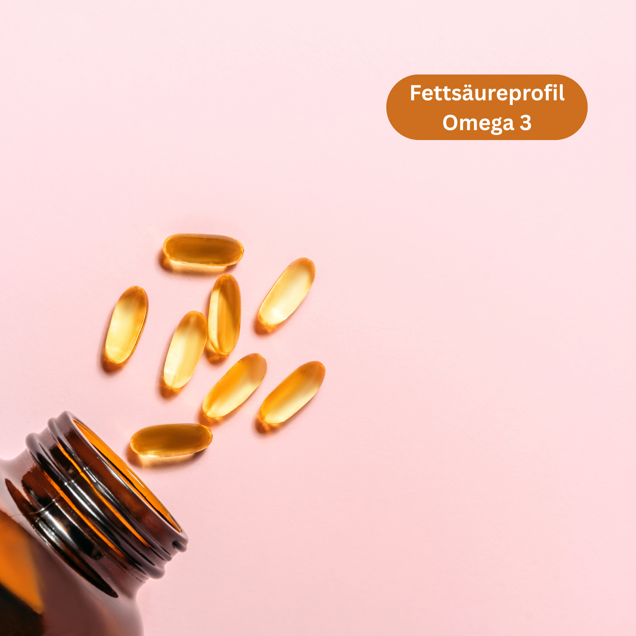 Fettsäureprofil Omega 3 - 3 Werte
